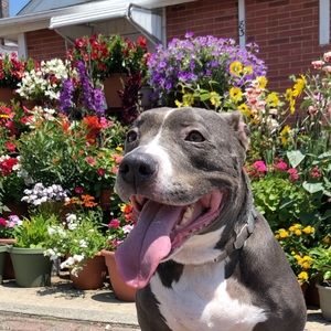 Meet your Posher, Jhosber